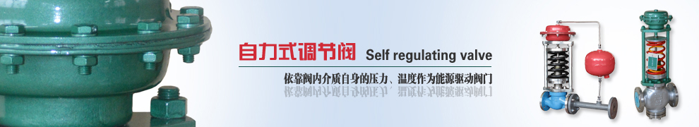自力式調(diào)節(jié)閥